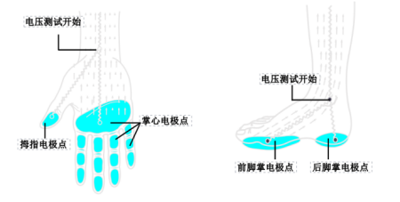 1693723470727006.png image.png