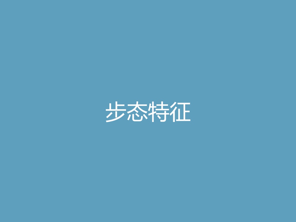 “步态特征